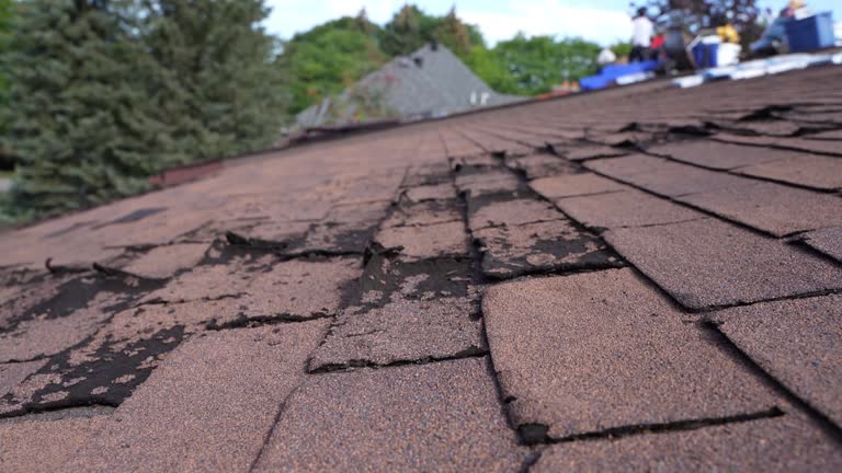 Best Roof Installation  in Liberty, SC