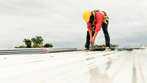 Best Solar Panel Roofing Installation  in Liberty, SC